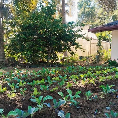 Ella Nature Valley Homestay 외부 사진