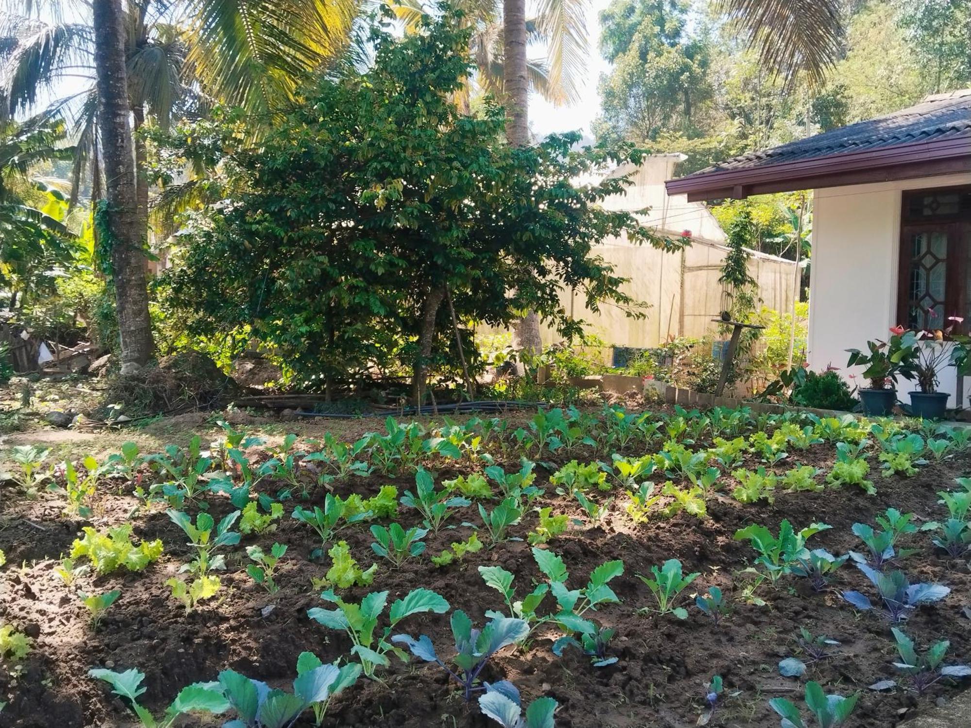 Ella Nature Valley Homestay 외부 사진
