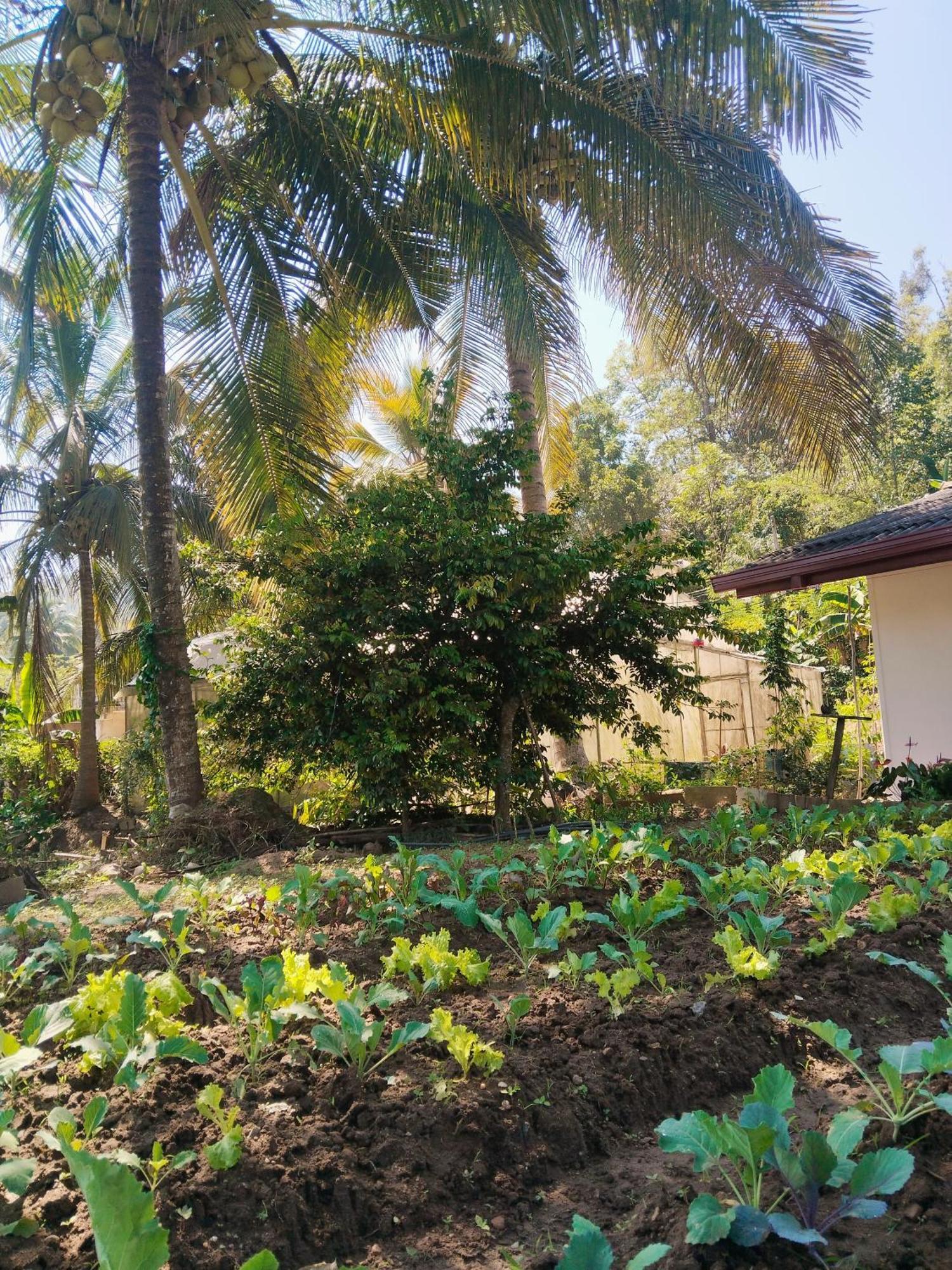 Ella Nature Valley Homestay 외부 사진